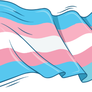 Trans Pride